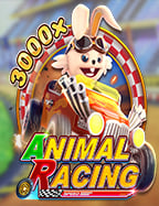 มาทางนี้! ทาง เข้า joker99 เล่นง่ายกำไรดี